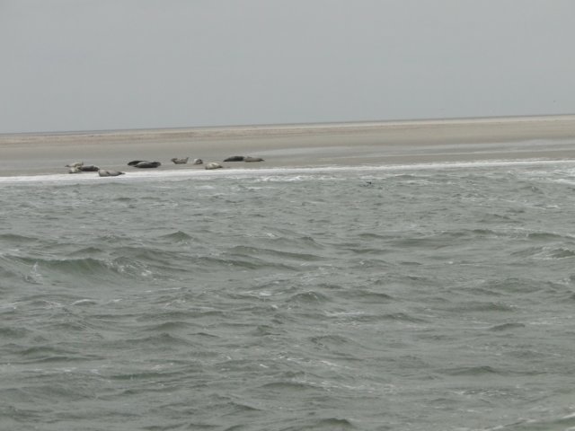 HWK Texel 215.jpg